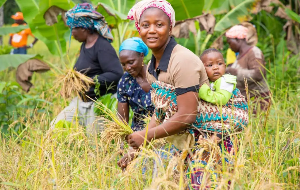 A woman farmer carrying her baby while harvesting crops alongside other women, symbolizing community strength, livelihood, and family care.